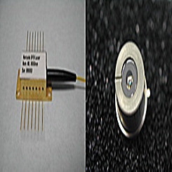 DFB Laser Diode for 1556nm 